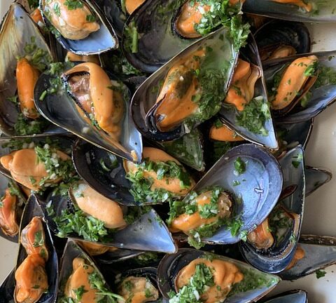 Sauced Mussels Recipe | Flavour from the Sea